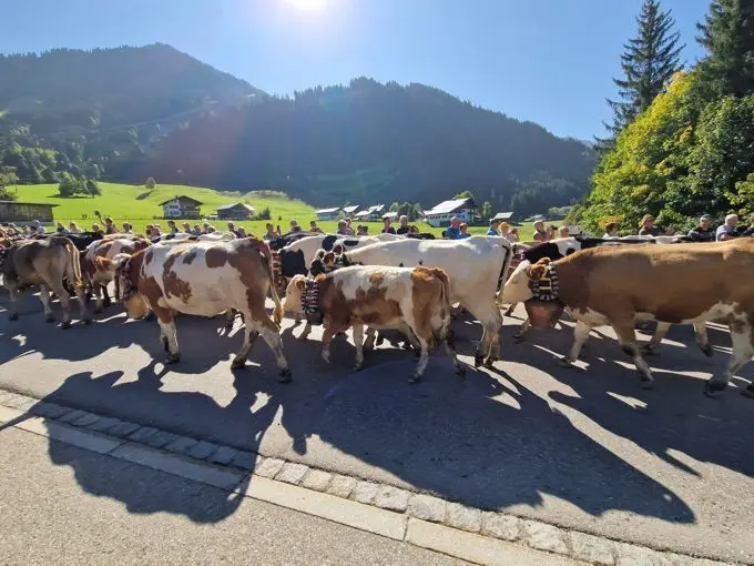 © Muna Qadoumi-Kaiser