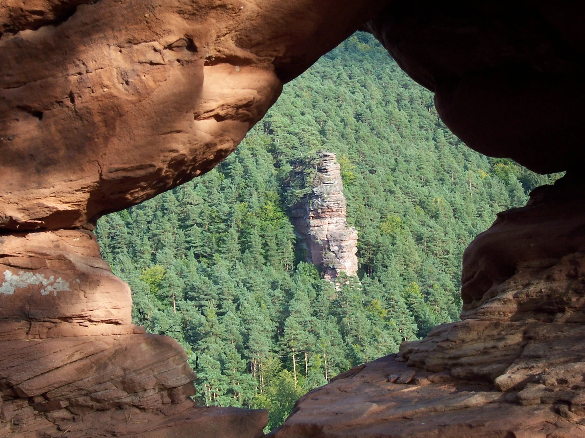 Blick über ein Loch im Feld auf den Glasfelsen im Pfälzerwald. | © DAV/Markus Maier